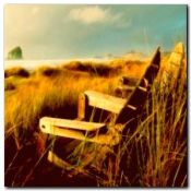 terapia-gestalt-madrid-observando