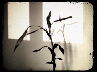 601274_10151407650765622_1928688236_n