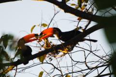 Terapia gestalt madrid expectativas