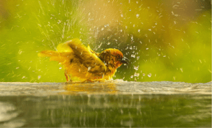 Terapia Gestalt Madrid Imagen (1)