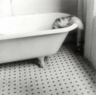 Terapia Gestalt Madrid Síntoma